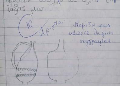 64331294_10221040489784182_8562073006006861824_n