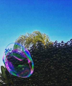 67626610_10221504316419558_8870548934573948928_n